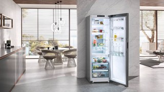 image-kategorije-proizvoda-samostojeci-hladnjaci-n