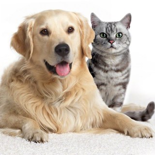 active-airclean-filtar-motiv-web